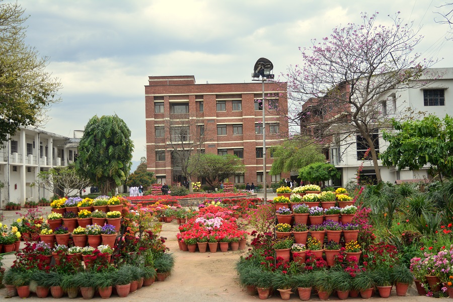 SBS University Campus photo 1